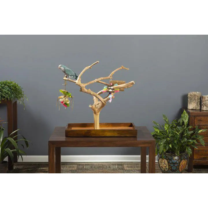 Prevue Pet Products Mini Table Top Playstand Made of Coffeawood for Small Birds