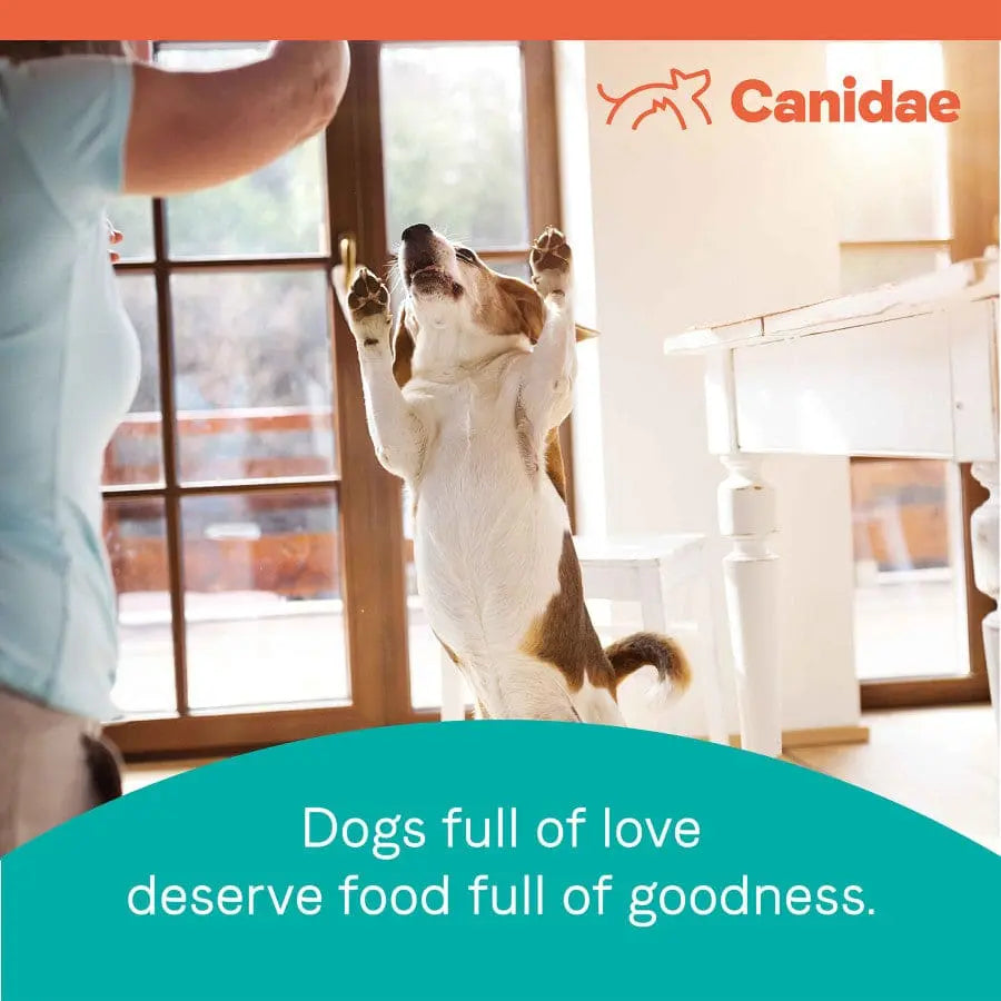 CANIDAE PURE High - Quality Grain - Free Dry Dog Food Recipe for Senior Dogs with Real Chicken, Sweet Potato & Garbanzo Beans