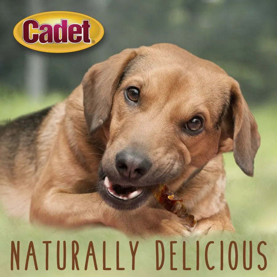 Cadet Gourmet Premium Dog Treats: Sweet Potato and Chicken Wrapped Delights