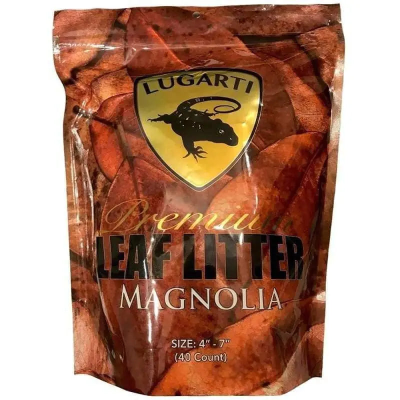 High - Quality Magnolia Leaf Litter Pack of 30 Pieces for Reptile Habitats