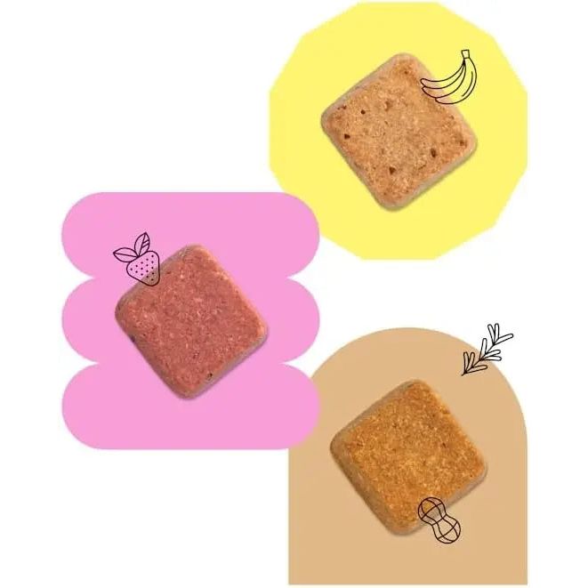 Wild Earth 5oz Vegan Superfood Dog Treats with Koji, Banana & Cinnamon
