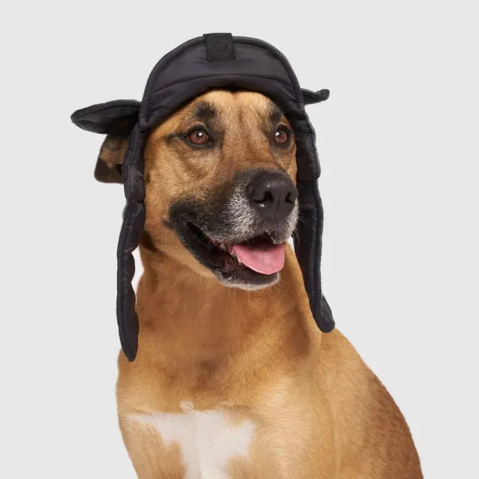 Stylish Canada Pooch Insulated Puffer-style Dog Hat for Winter Warmth