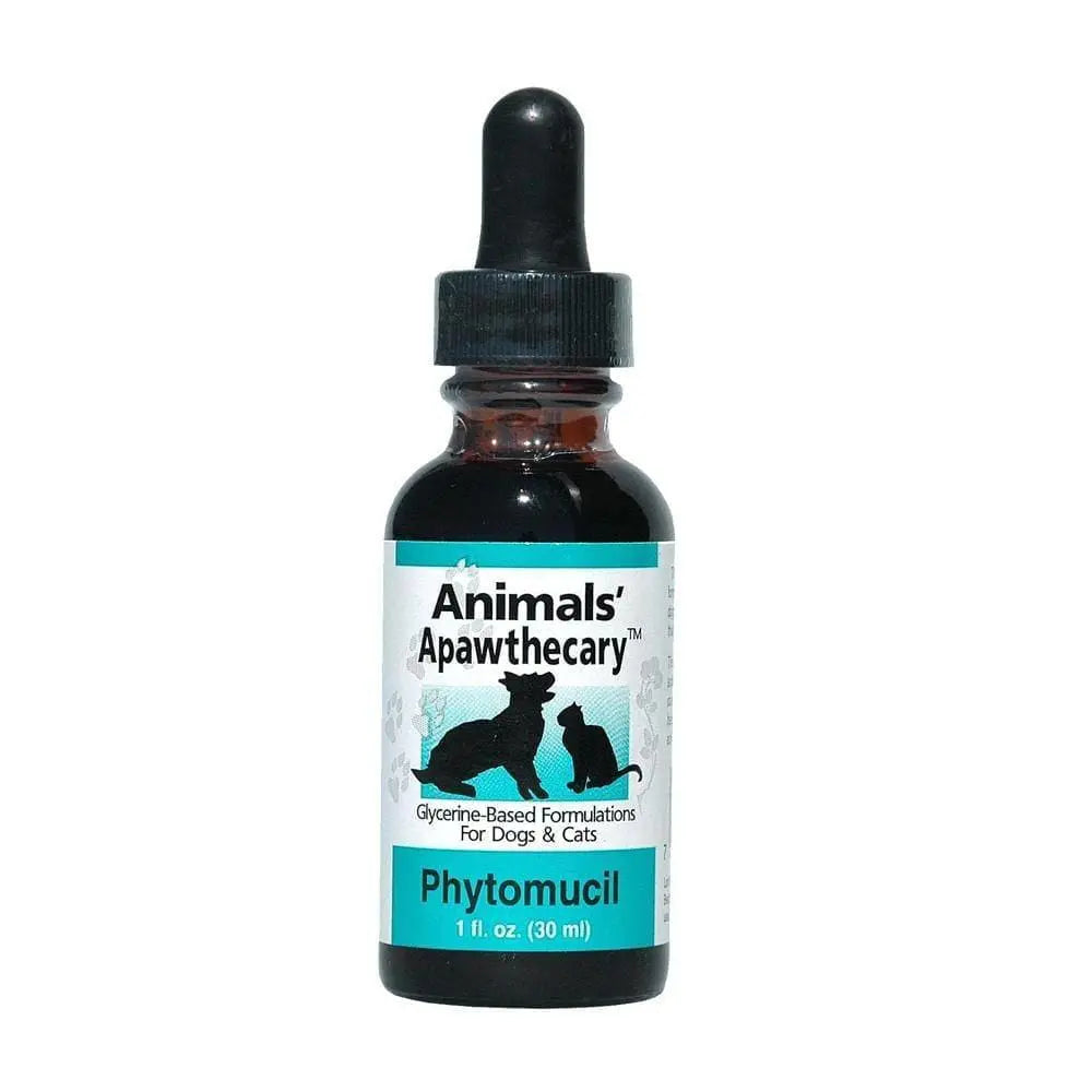 Animal Essentials® Herbal Gastrointestinal Support Tincture for Cats and Dogs - Colon Rescue, 2 Ounce