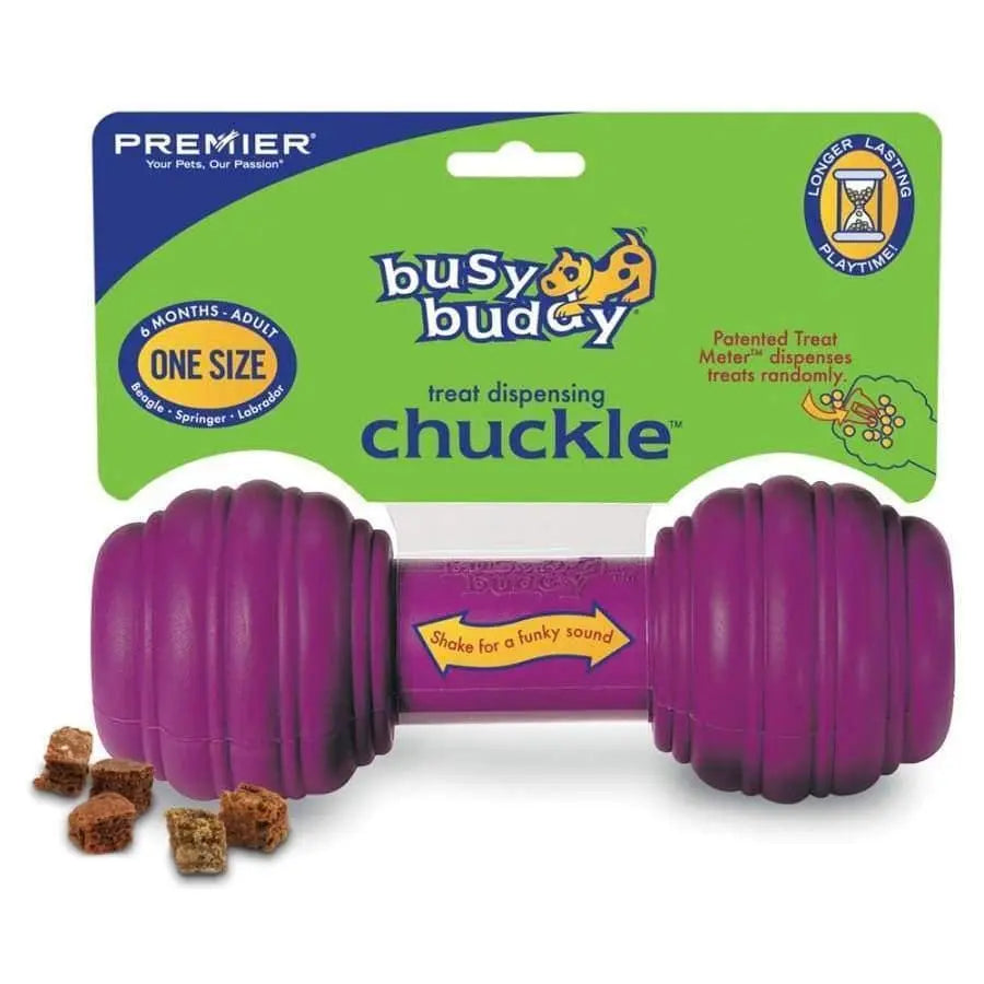 Busy Buddy Chuckle Interactive Dog Toy in Purple, Available in Medium and Large Sizes