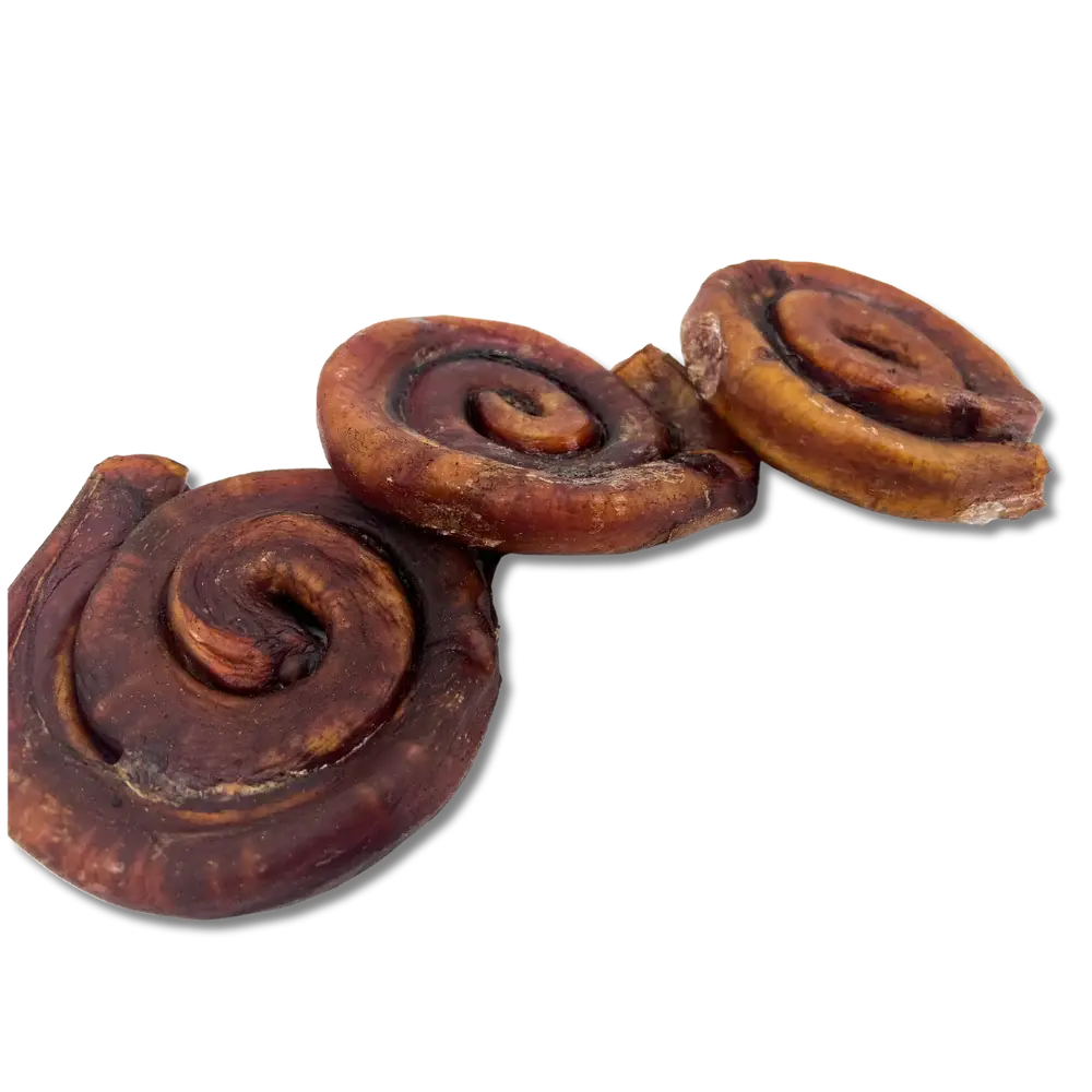 BarkNBig CinnaBull Single-Pack Bully Coil Dog Treats - Aromatic & Long-Lasting