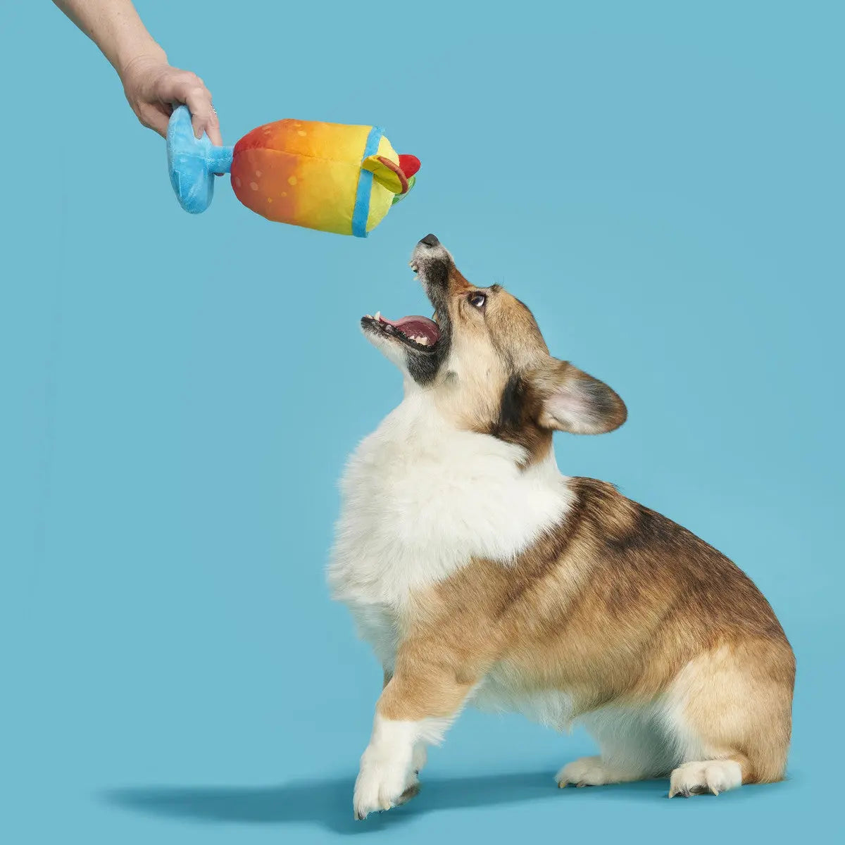 BARK Tropical Themed Plush Mai Tail Dog Toy for Canine Entertainment