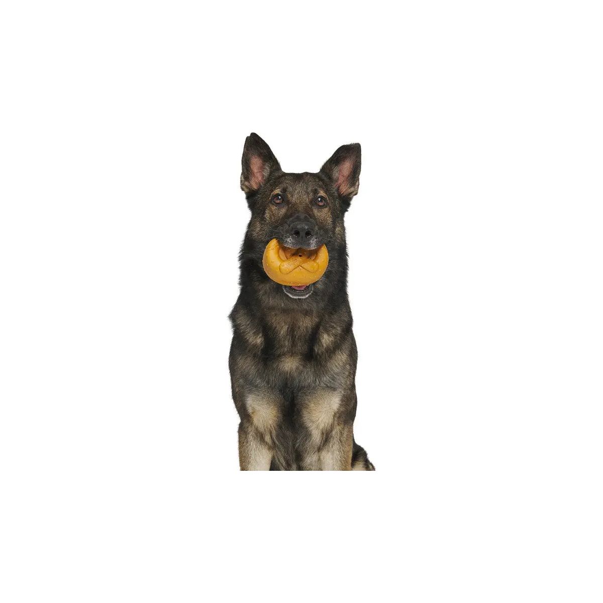 BARK Cheesy-Scented Barkvarian Pretzel-Style Interactive Dog Fetch Toys