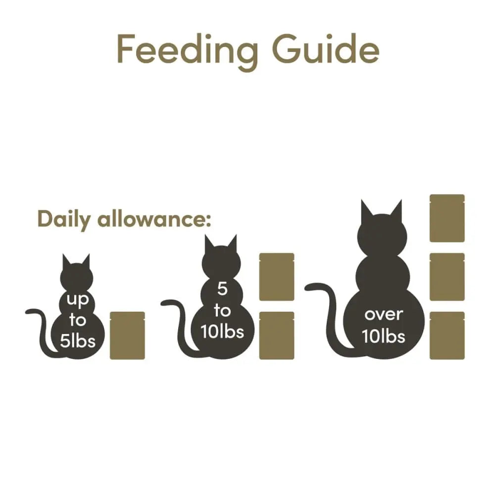 Applaws 70g Single-Serve Pouches of Tuna Fillet and Pacific Prawn in Broth, Pack of 12 for Feline Delights
