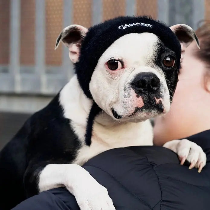 Canada Pooch Pawparazzi Fashionable Faux - Fur Dog Beanie with Drawcord