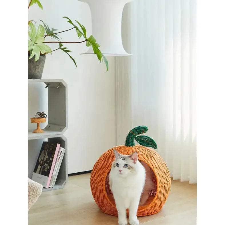 Vibrant Vetreska Tangerine Handcrafted PE Rattan Pet Bed with Washable Cushion