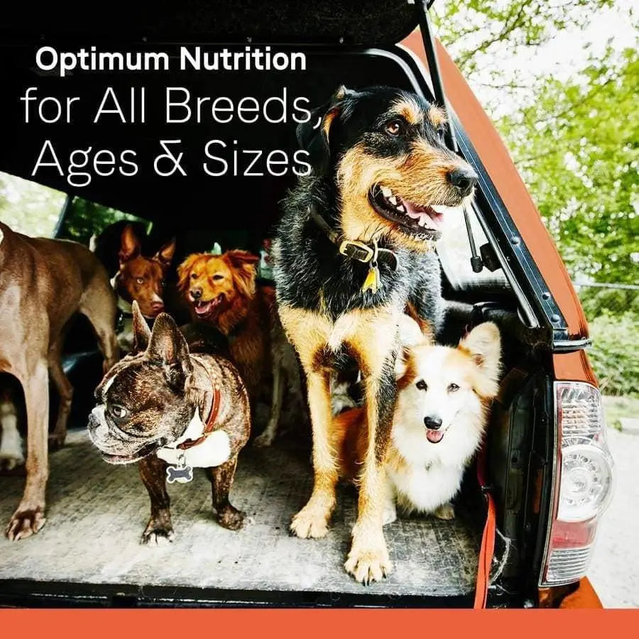CANIDAE Premium All Life Stages Dry Dog Food Formula for Large Breeds with Turkey Meal and Brown Rice
