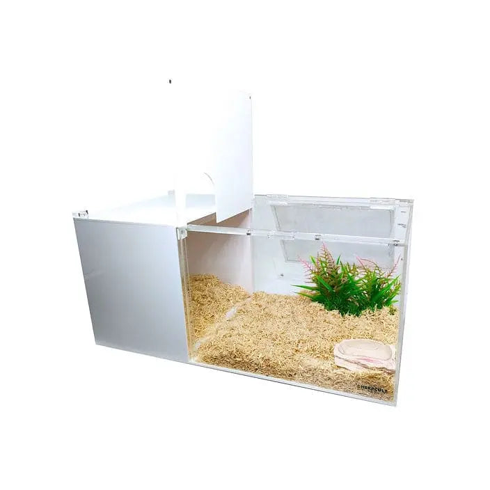 High - Quality Acrylic Terrarium Cage for Geckos, Chameleons, Snakes, and Hamsters