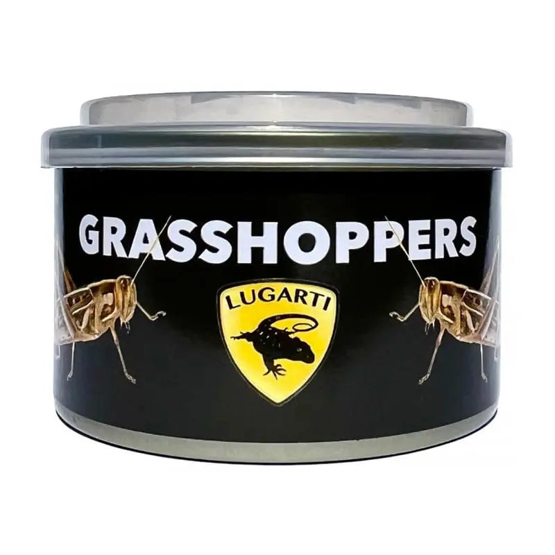 Lugarti’s Premium Canned Grasshoppers as Nutritious Reptile Food