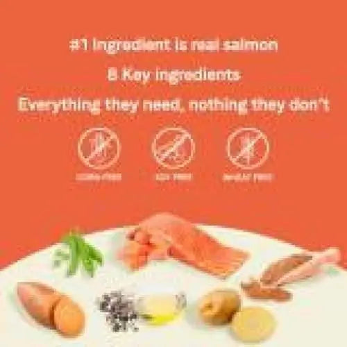 CANIDAE PURE Grain-Free Top-Rated Dry Dog Food with Real Salmon & Sweet Potato