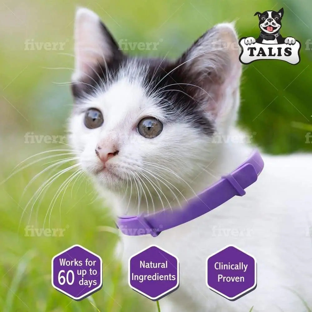 Super Calming Pheromone Collar for Cats: Keep Your Feline Happy and Healthy