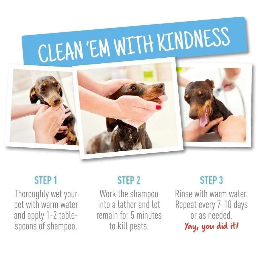 Adams 12 oz Flea and Tick Cleansing Shampoo for Cats and Dogs - Effective Pest Control
