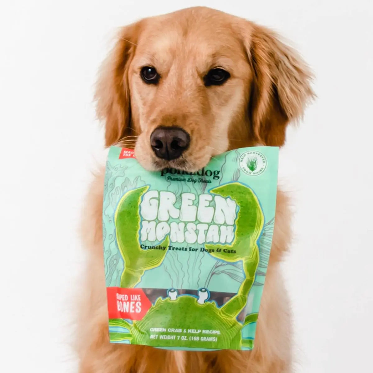 Polkadog Green Monstah Bone - Shaped Crunchy Treats for Dogs and Cats