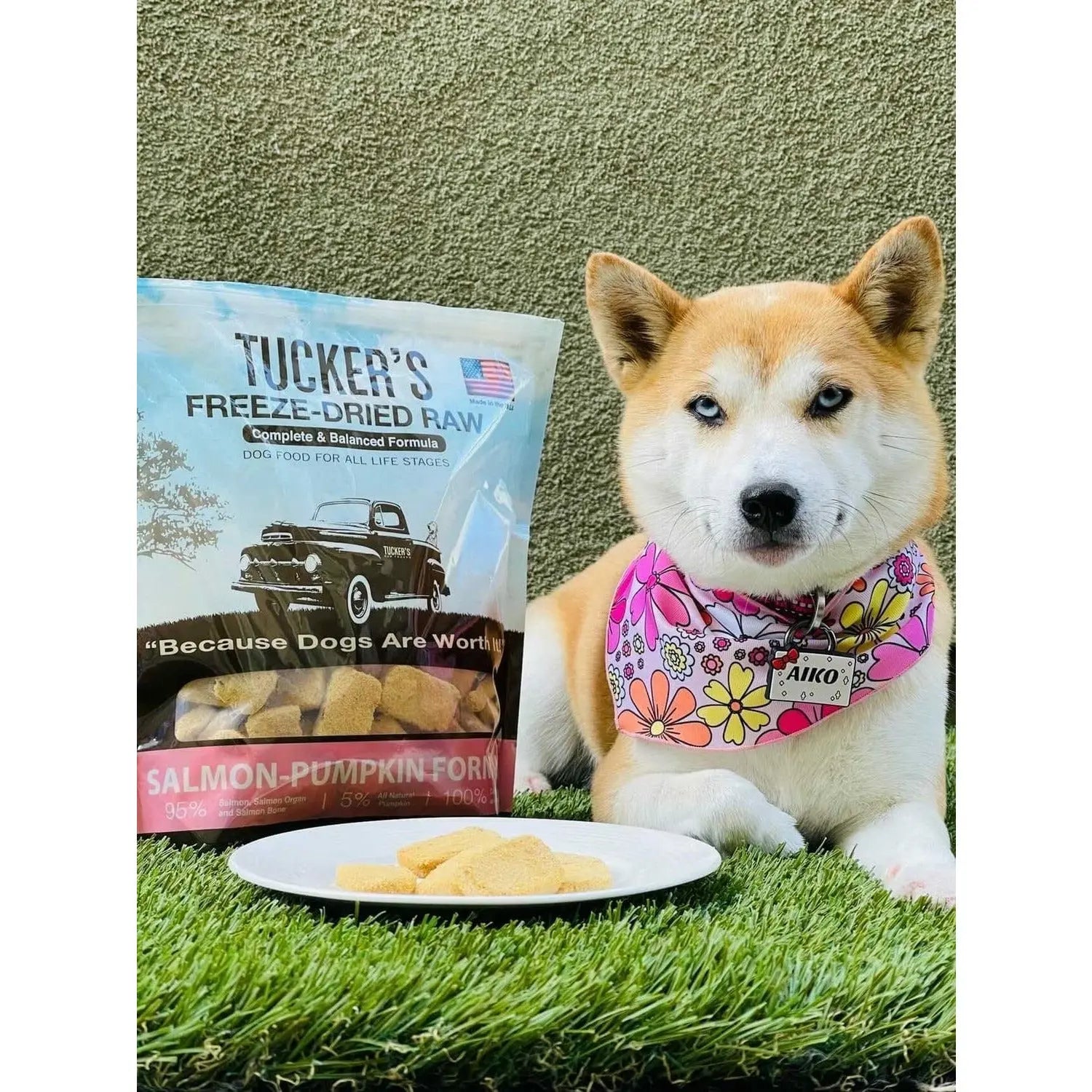 Tucker's® Freeze-Dried Dog Food with Salmon and Pumpkin, 12-Ounce Package