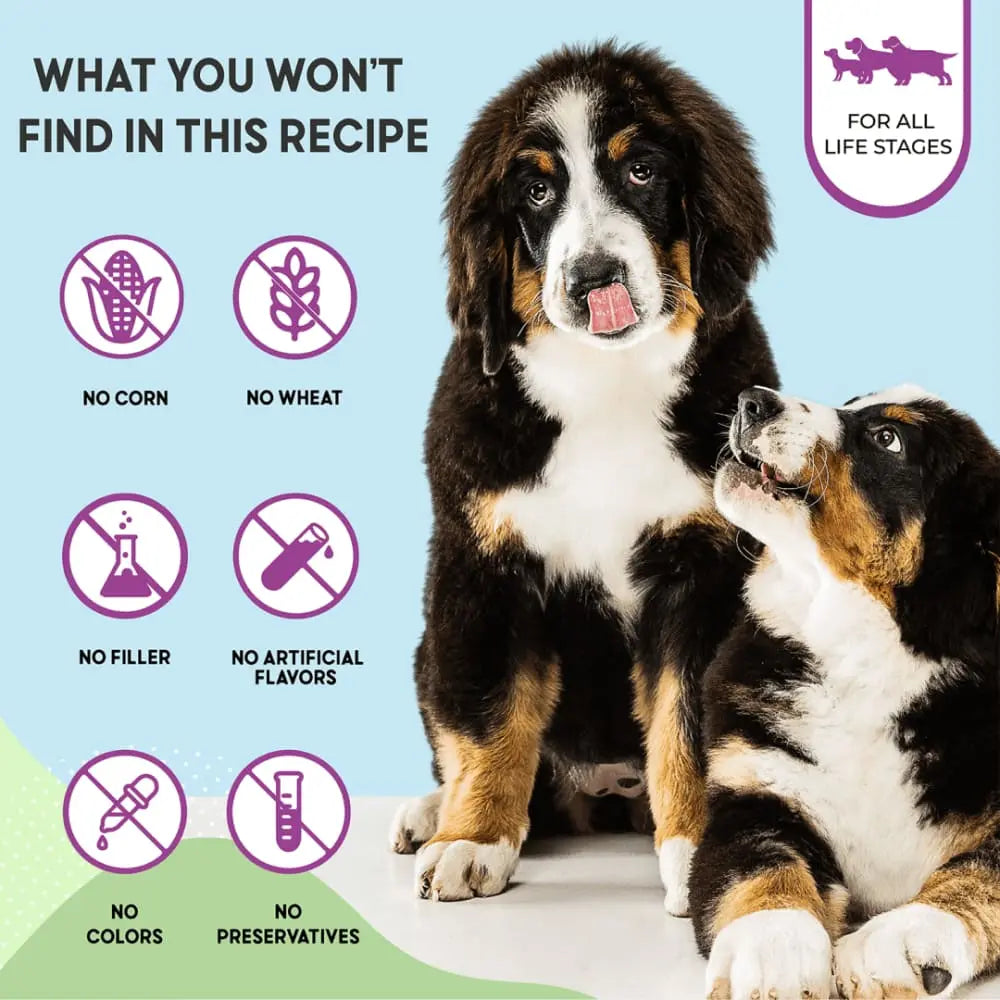 Health Extension Premium Chicken and Brown Rice Dog Food Recipe for All Life Stages