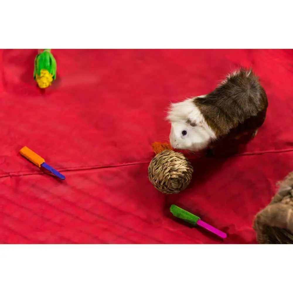 Prevue Pet Products Grassy Nibblers Toy Trio Woven Three-piece Set for Small Animals