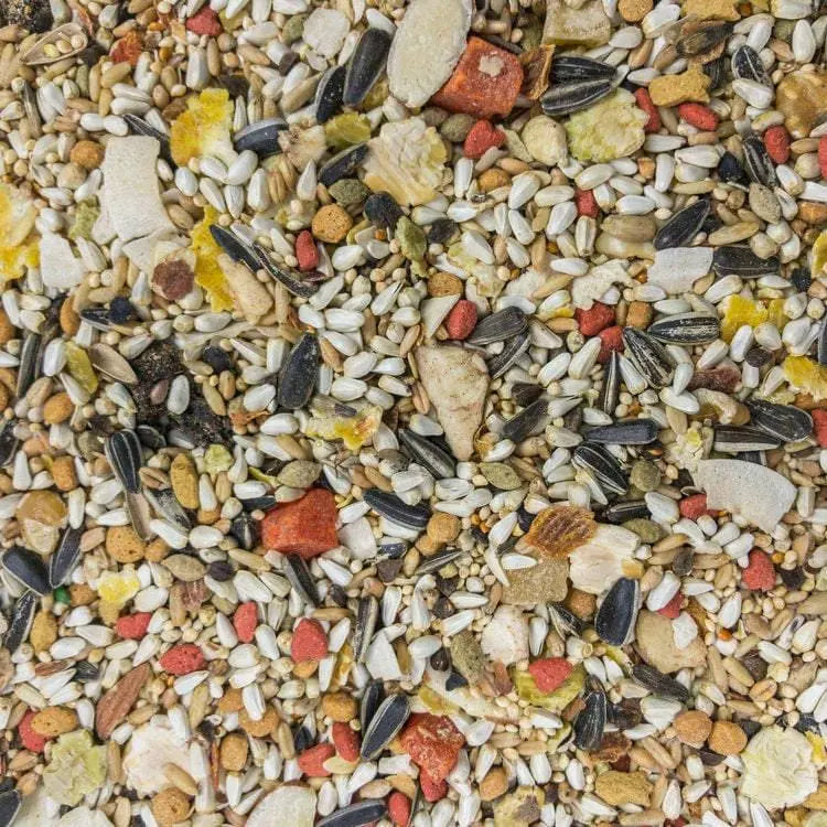 Higgins Premium Sunburst Conure Parrot Food Blend