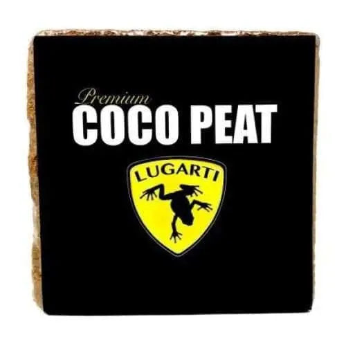 10 lb High - quality Organic Coco Peat Block for Reptiles