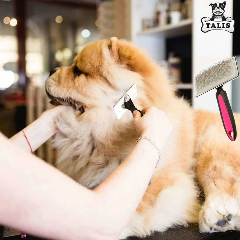 Self-Cleaning Pet Slicker Grooming Brush - An Ideal Tool for Removing Dog and Cat Hair Shedding