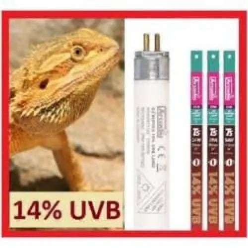 Arcadia High Output HO T5 Fluorescent Lamp D3+ 14% UVB Bulb for Reptiles - Ideal Dragon Lamp and Reptile Lighting Solution