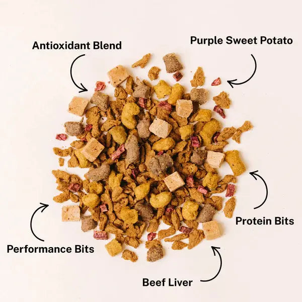 Delicious Yummers Dog Food: Salmon & Beef Recipe Enriched with Freeze - Dried Proteins