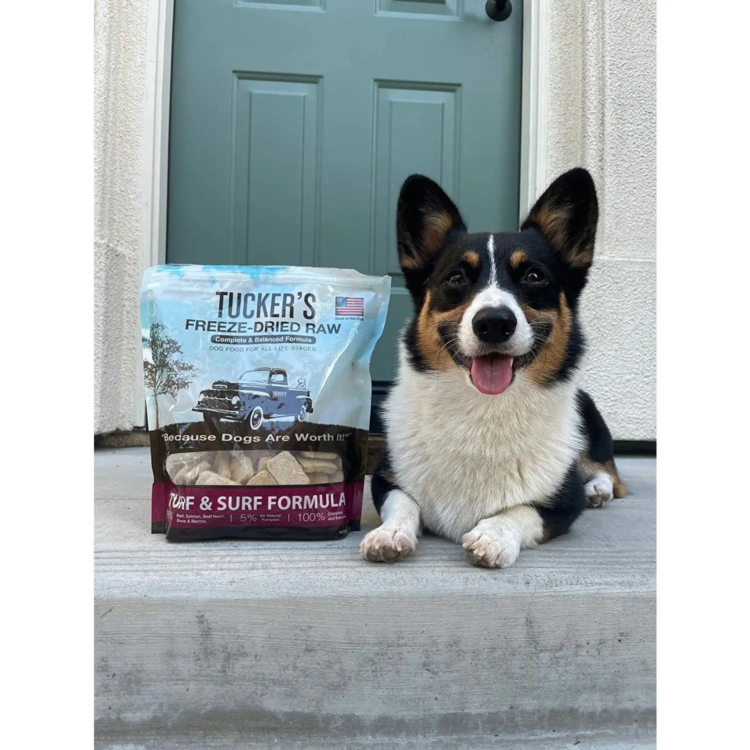 Tucker's® Freeze-Dried Dog Food - Turf & Surf Formula, 14-Ounce Package for Canine Nutrition