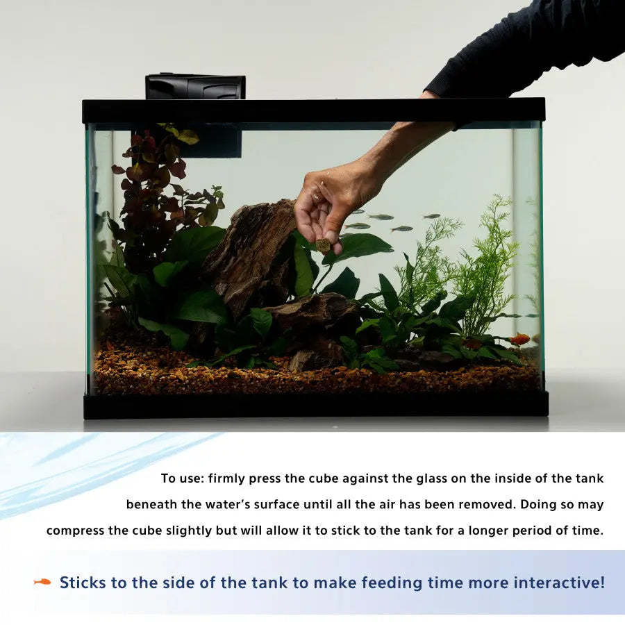 Aqueon Stick'ems Freeze-Dried Treats for Freshwater and Marine Fish - Premium Brine and Mysis Shrimp Fish Food
