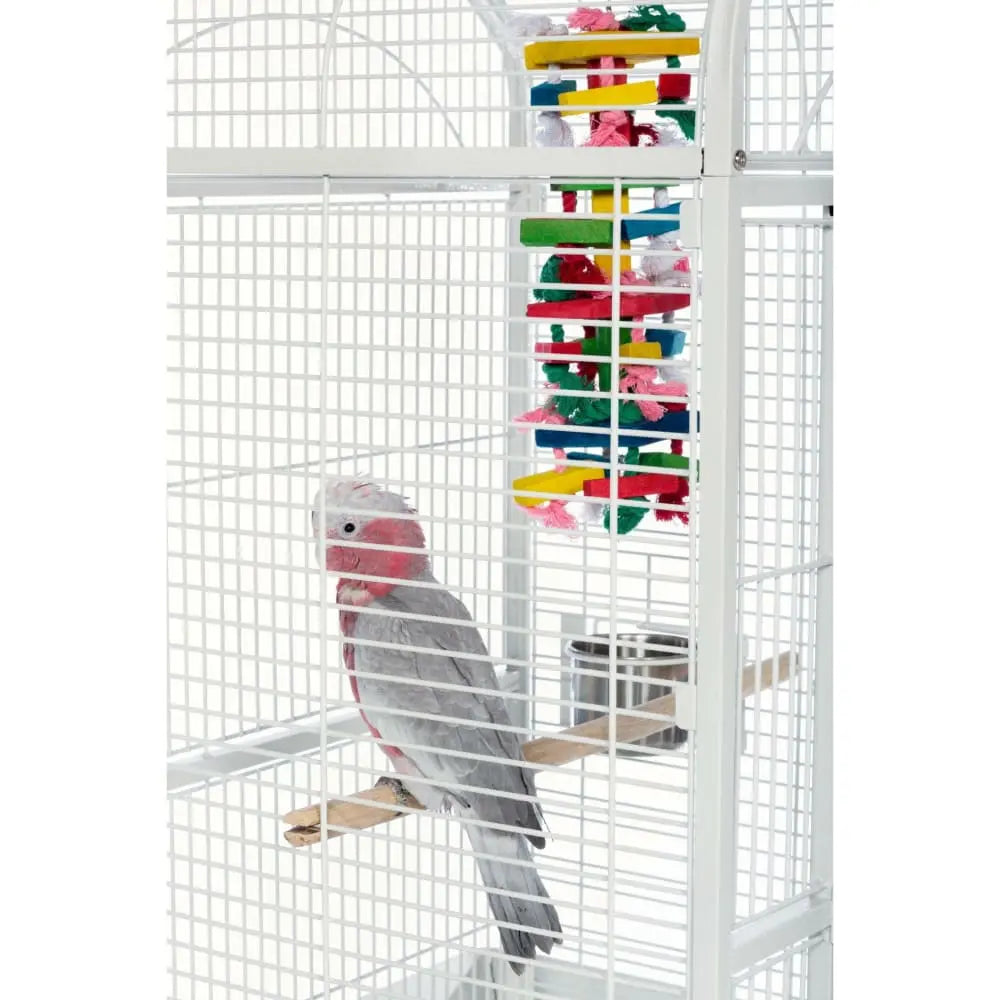 Prevue Pet Products Medium-Sized Dome Top Bird Cage in Chalk White Color