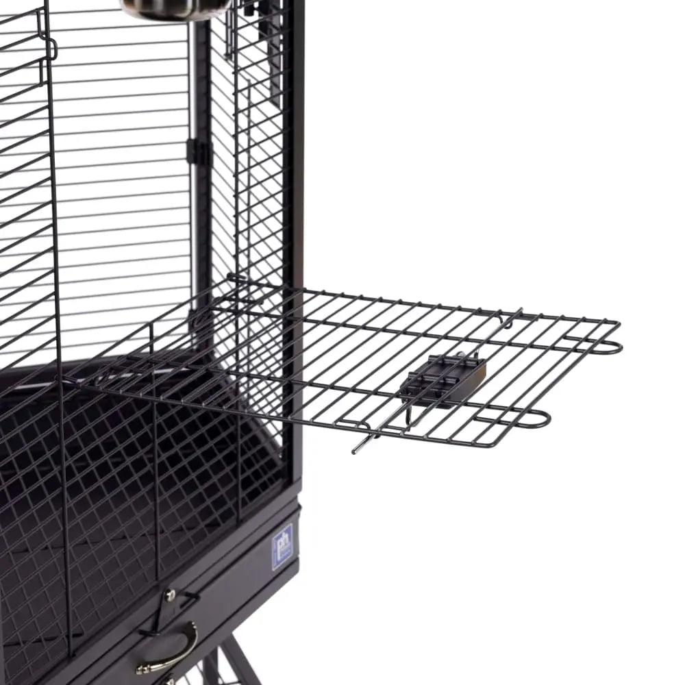 Prevue Pet Products Corner Cage for Small Parrots with a Fun Playtop