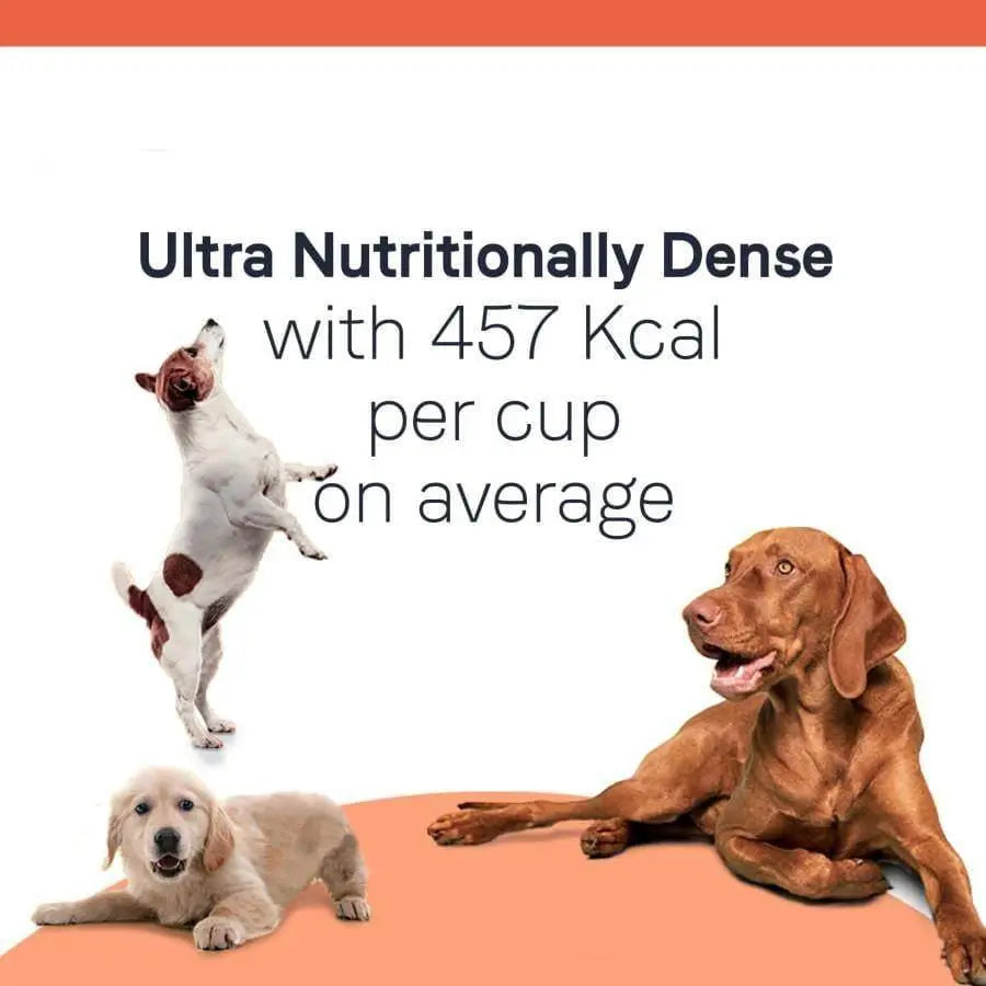 CANIDAE Dry Dog Food Formula for Less Active Dogs in All Life Stages with Chicken, Turkey, Lamb & Fish Meal