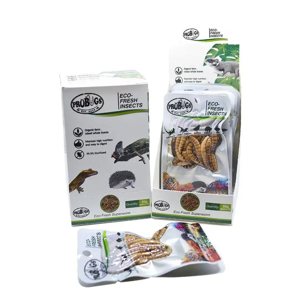 Eco-Fresh Pro Bugs Superworms: Ideal Food for Lizards, Turtles, Birds & Koi