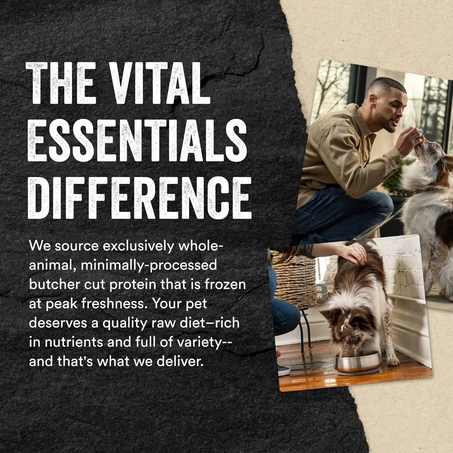 Vital Essentials® Premium Freeze - Dried Minnows as Ideal Dog Treats