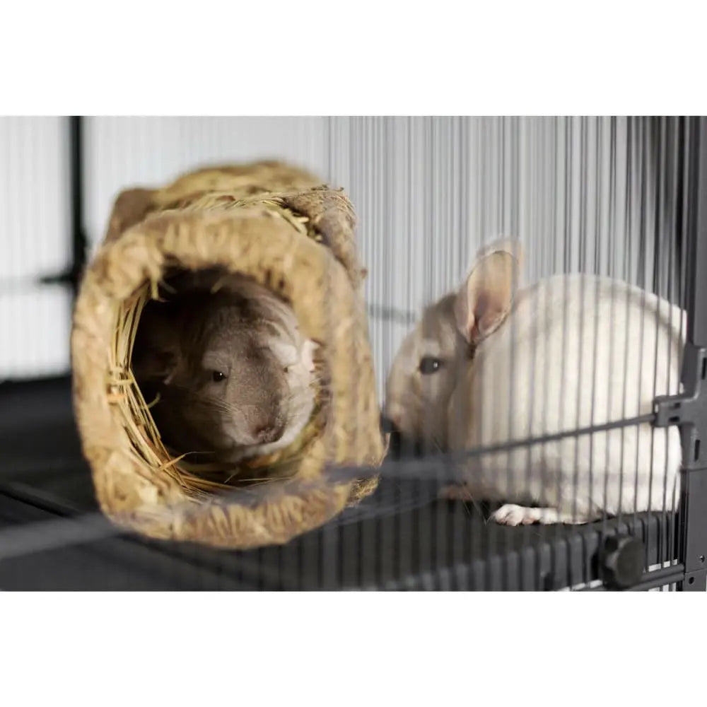 Prevue Pet Products All - Natural Hand - Woven Grass Activity Tunnel for Small Animals