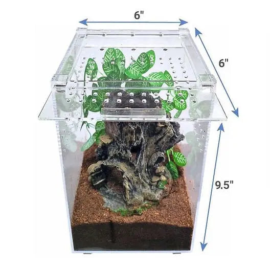 Small and Tall Transparent Acrylic Terrarium Cage for Tarantula and Scorpion Breeding