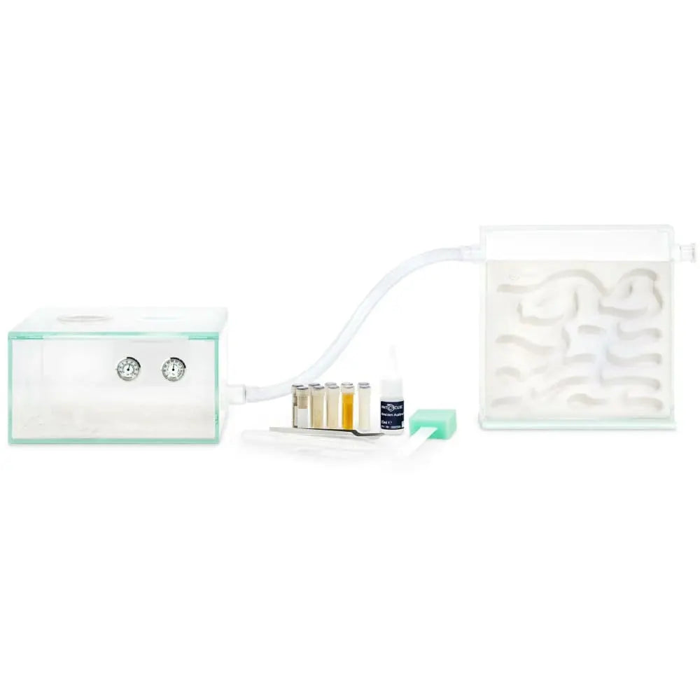ANTCUBE Starter Set L - 20×20cm Gypsum Ant Keeping Starter Kit