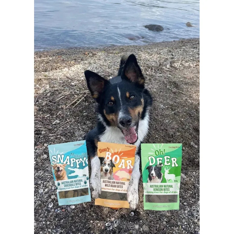 Loving Pets Australia Premium Crocodile Bites - 5.29 oz High - Protein Dog Treats