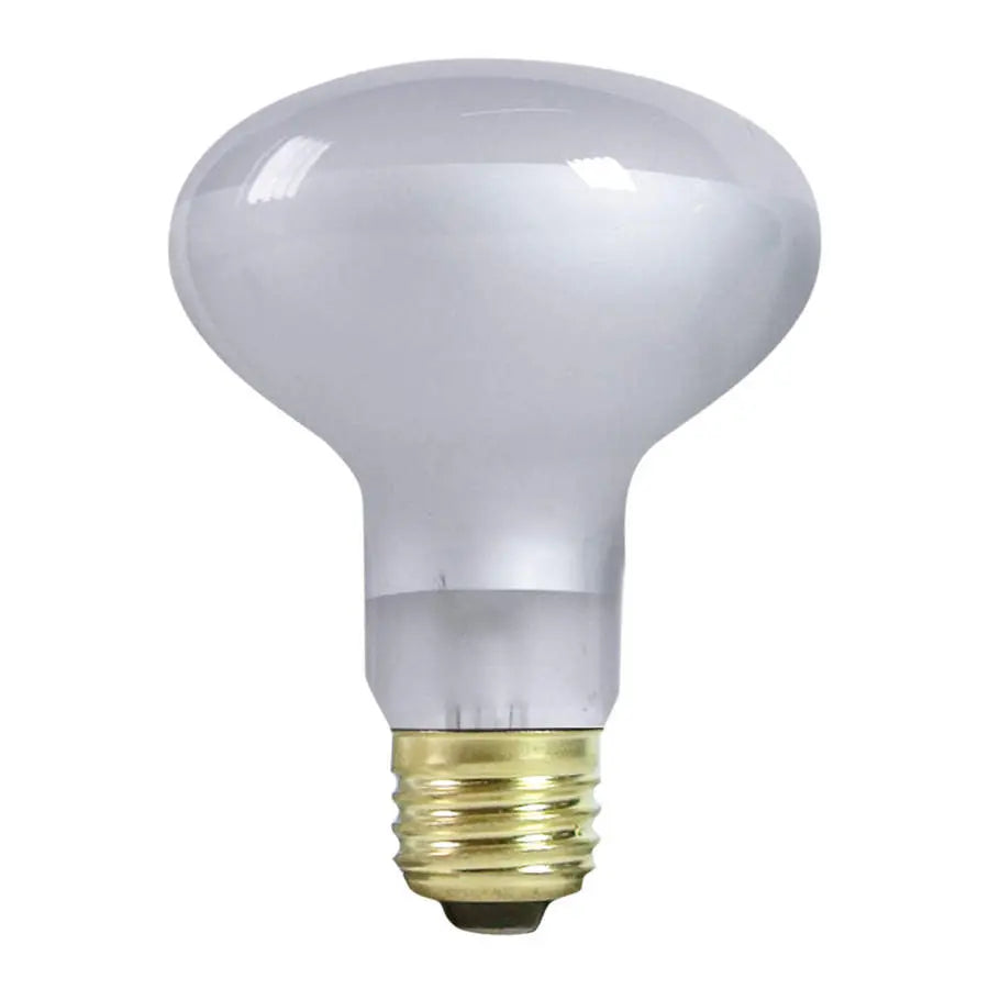 Zilla High - Performance Incandescent Spot Bulb for Reptile Terrariums