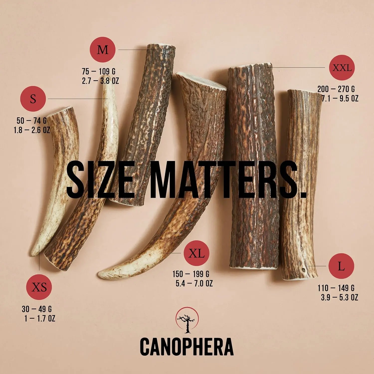 Canophera All - Natural Grade - A Whole Red Deer Antler Dog Chews for Healthy Teeth