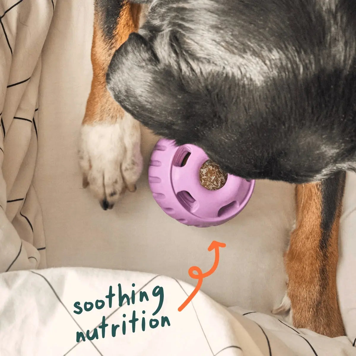 Woof Pet Calming Wellness Frozen Treat Pops - Long - Lasting Pupsicle - Style Treats for Dogs