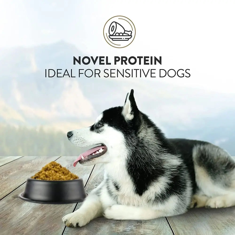 Addiction Premium Quality Perfect Summer Brushtail Raw Substitute Gently Air - Dried Dog Food for Canines