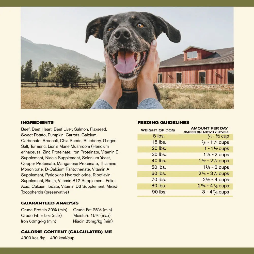 Badlands Ranch Complete Superfood Grain-Free Air-Dried Beef Dog Food for Canine Nutrition