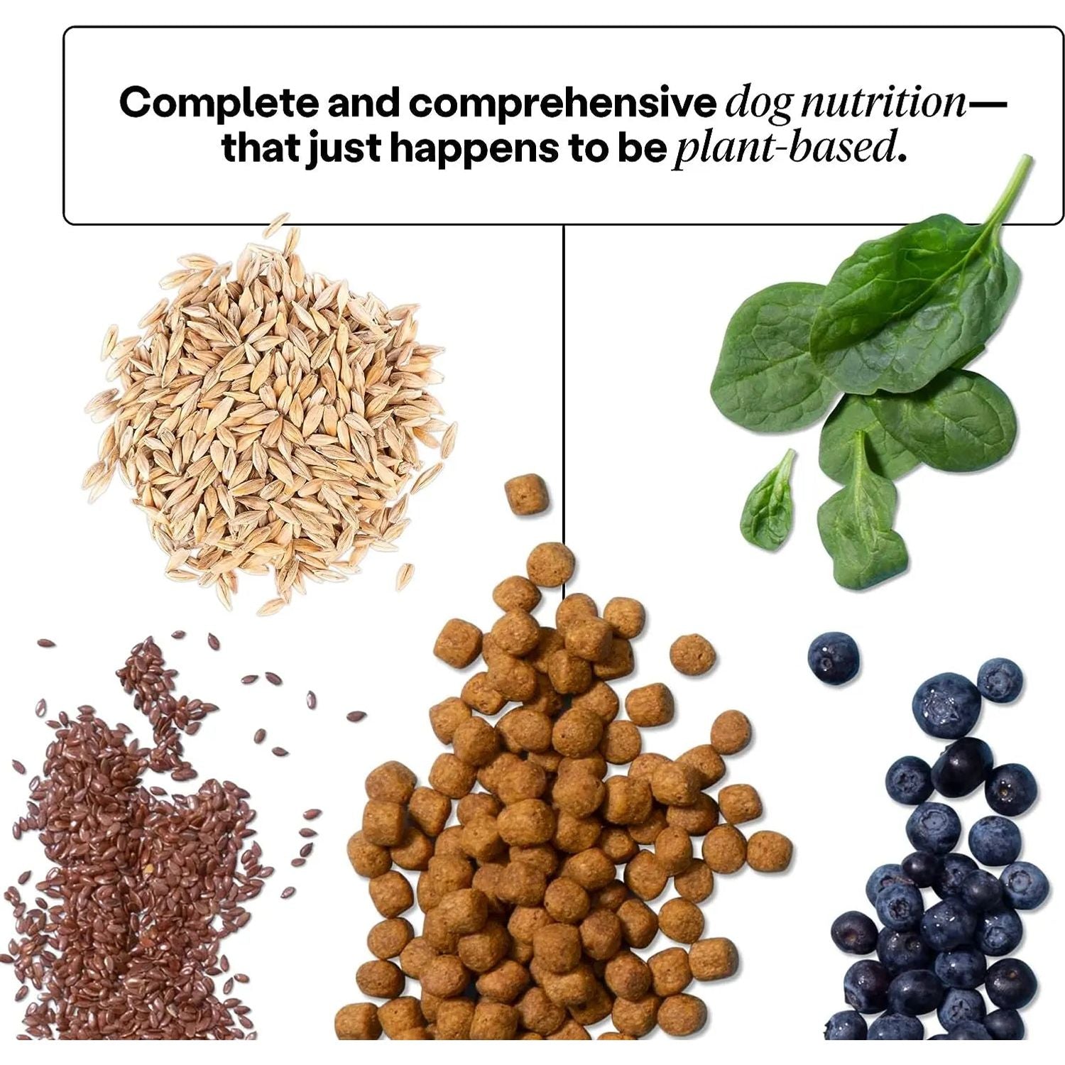 Wild Earth Allergen-Free Vegan Dog Food in Delicious Veggie Chick’N Kabob Flavor