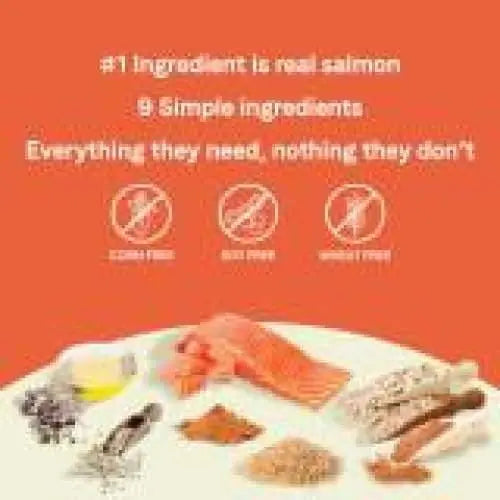 CANIDAE PURE Puppy Dry Dog Food - Real Salmon & Oatmeal Recipe with Wholesome Grains
