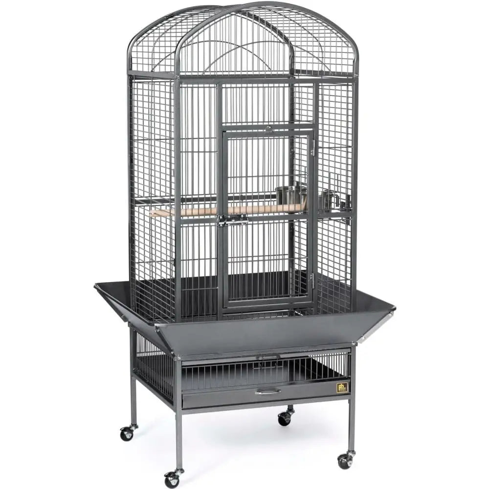 Prevue Pet Products Medium-Sized Dome Top Bird Cage in Chalk White Color