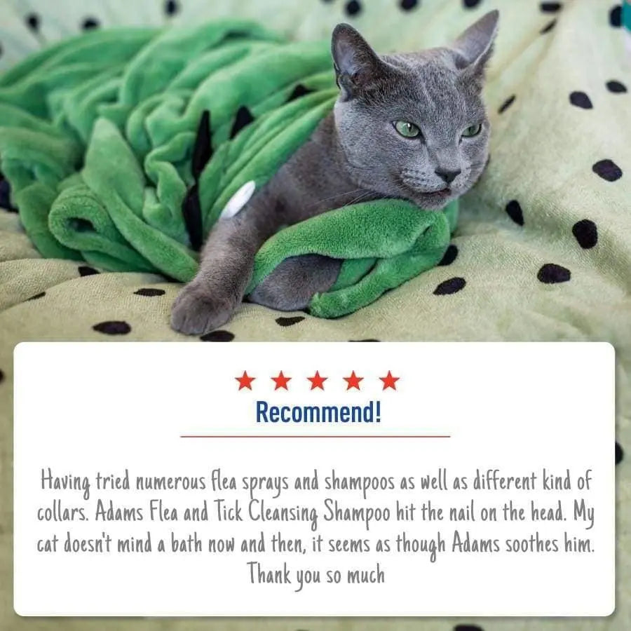 Adams 12 oz Flea and Tick Cleansing Shampoo for Cats and Dogs - Effective Pest Control