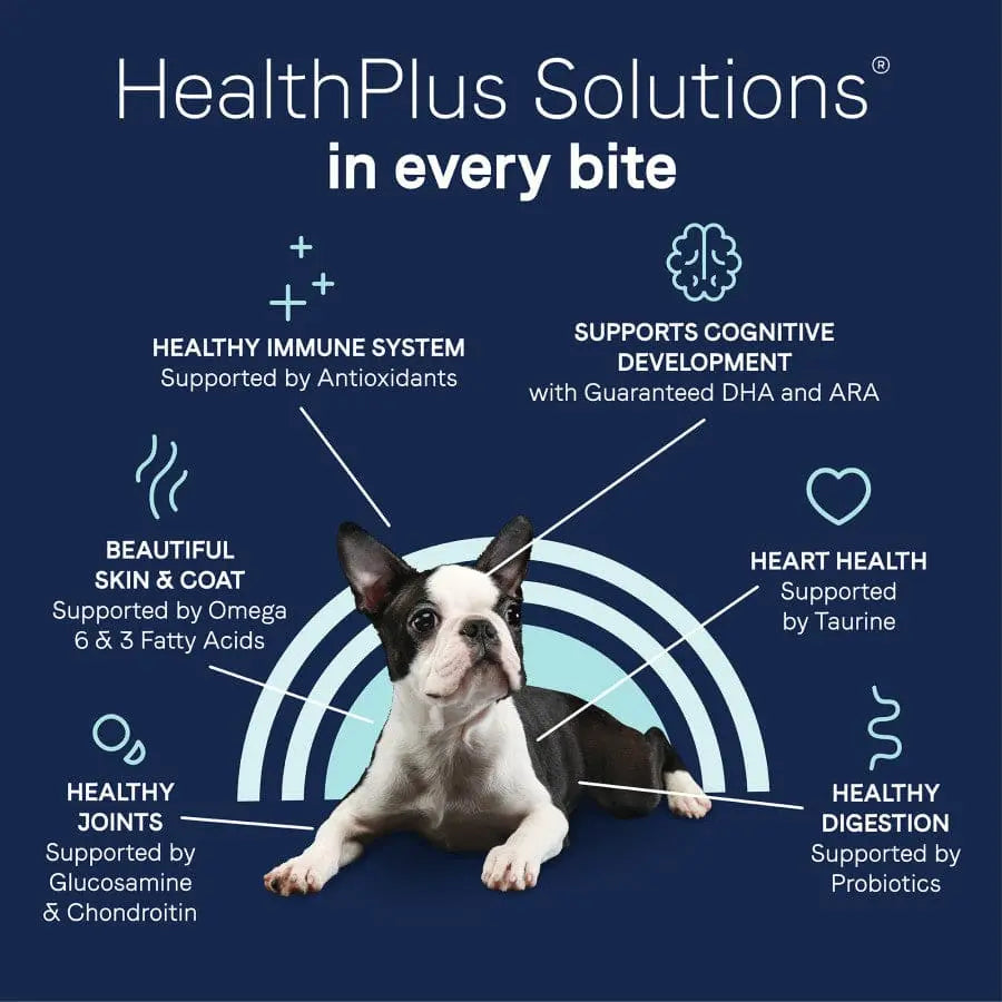 CANIDAE PURE Puppy Dry Dog Food - Real Salmon & Oatmeal Recipe with Wholesome Grains